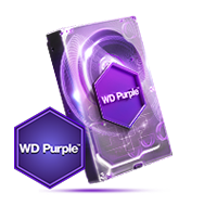 purpose_purple